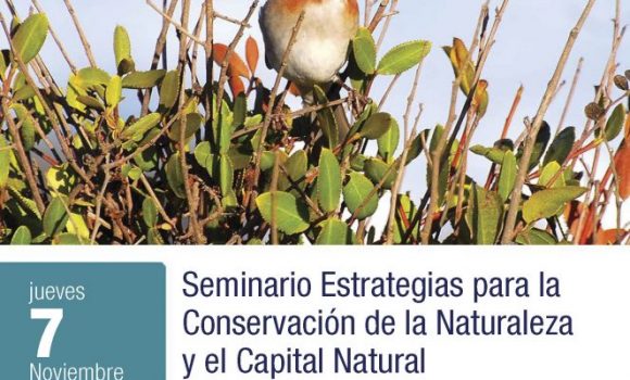 Corredores Verdes como oportunidad para la conservación de la naturaleza en la Región Metropolitana