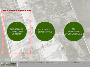 AndrésRiveos_CV-y-conservacion-1-300x225