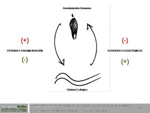 AndrésRiveos_CV-y-conservacion-21-300x225