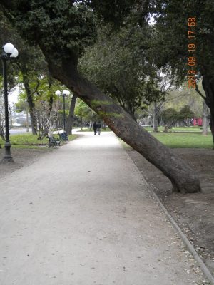 ciclovias a media 04